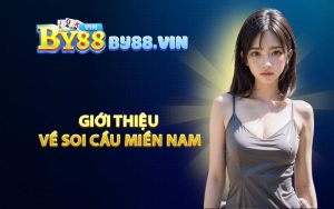 Giới Thiệu Về Soi Cầu Miền Nam