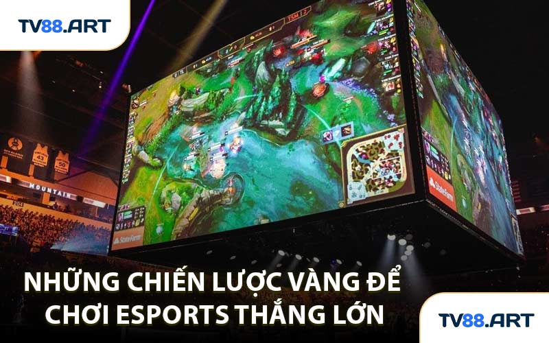 Những chiến lược vàng để chơi Esports thắng lớn