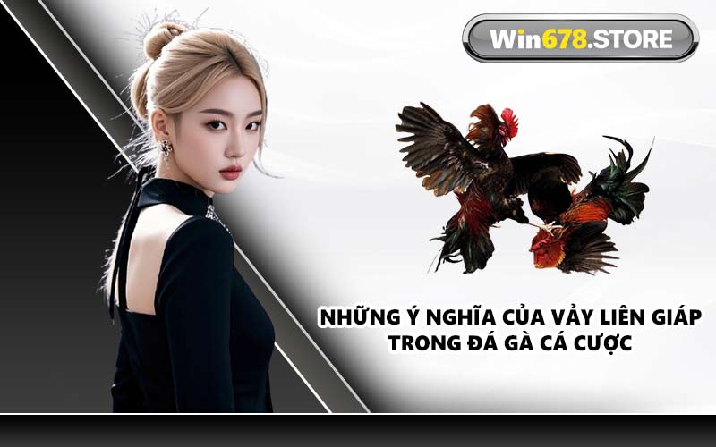 Những ý nghĩa của vảy liên giáp trong đá gà cá cược