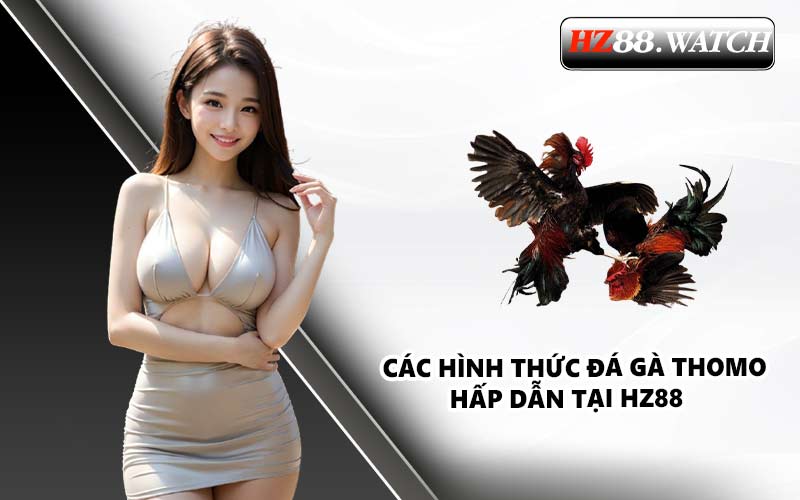 Các hình thức đá gà Thomo hấp dẫn tại HZ88