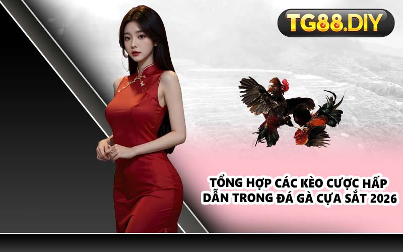 Tổng hợp các kèo cược hấp dẫn trong đá gà cựa sắt 2026