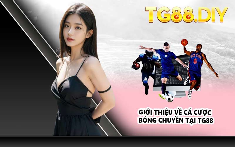 Giới thiệu về cá cược bóng chuyền tại TG88